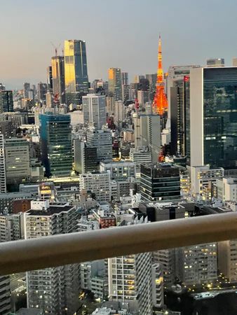 芝浦アイランドケープタワー 眺望 芝浦アイランドケープタワー 眺望