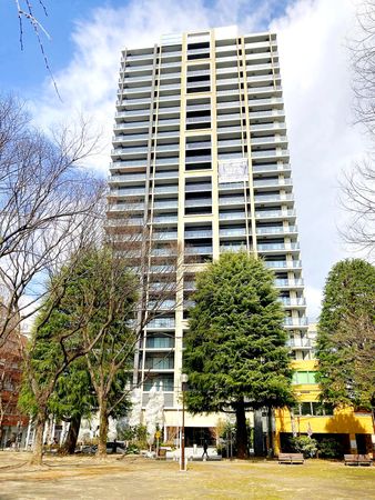 シティタワー青葉通一番町 マンション南側道路先の肴町公園から撮影 シティタワー青葉通一番町 マンション南側道路先の肴町公園から撮影