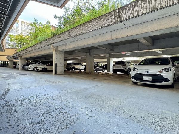 パティオス13番街 平置駐車場 パティオス13番街 平置駐車場