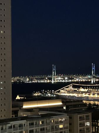 ザ・タワー横浜北仲 眺望 ザ・タワー横浜北仲 眺望