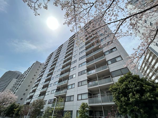 パークヒルズM棟 外観 パークヒルズM棟 外観