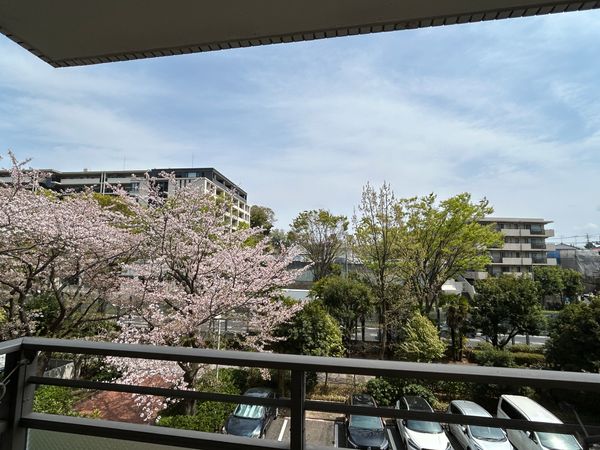 パークヒルズM棟 南東側バルコニーからの眺望 パークヒルズM棟 南東側バルコニーからの眺望