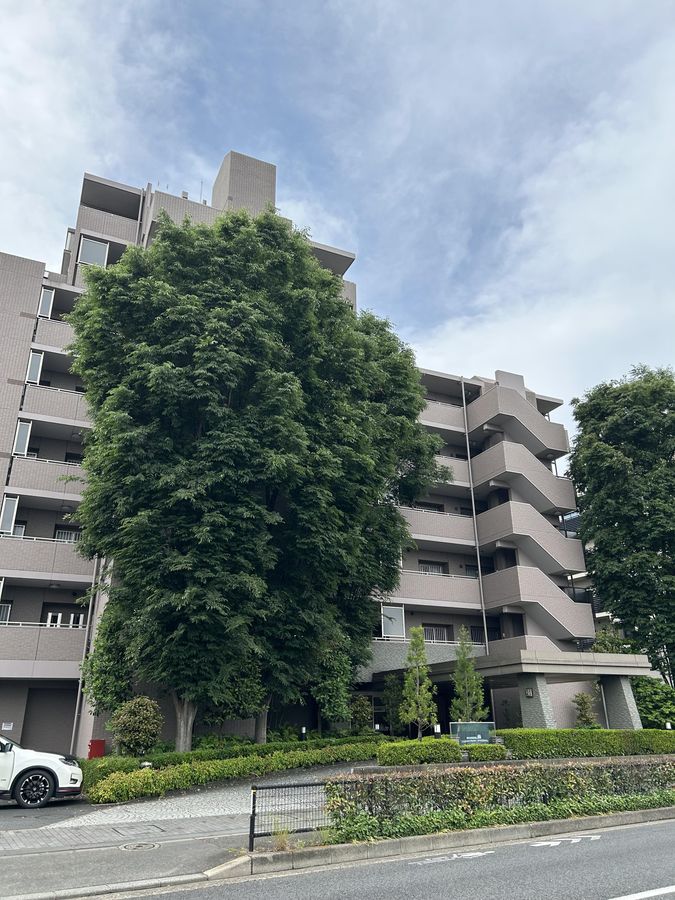 リーデンススクエア石神井台 建物外観です。 リーデンススクエア石神井台 建物外観です。
