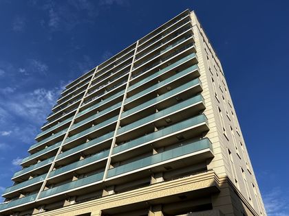 ヴェレーナ綾瀬 建物外観 ヴェレーナ綾瀬 建物外観