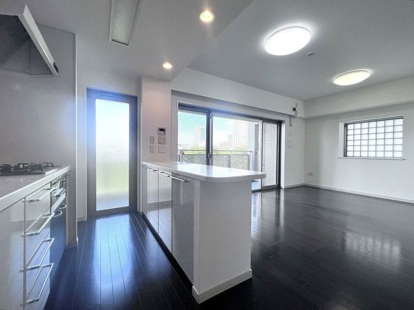 藤和シティホームズ池袋駅前 約13.9帖のLDK(照明器具2台は性能保証除外です) 藤和シティホームズ池袋駅前 約13.9帖のLDK(照明器具2台は性能保証除外です)