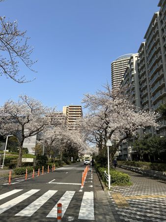 パークシティ新川崎G棟 E棟前面道路 2025年3月30日撮影 パークシティ新川崎G棟 E棟前面道路 2025年3月30日撮影