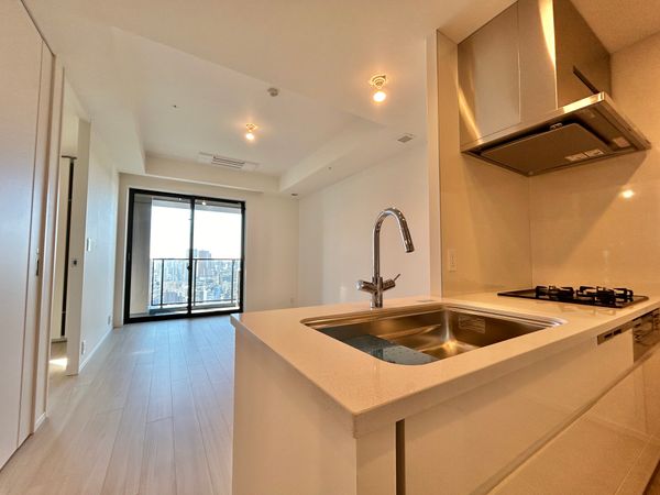 WORLD TOWER RESIDENCE LDK(約13.2帖) WORLD TOWER RESIDENCE LDK(約13.2帖)