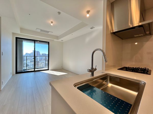 WORLD TOWER RESIDENCE LDK(約13.2帖) WORLD TOWER RESIDENCE LDK(約13.2帖)