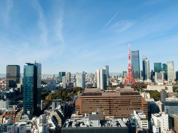 WORLD TOWER RESIDENCE バルコニーからの眺望 WORLD TOWER RESIDENCE バルコニーからの眺望