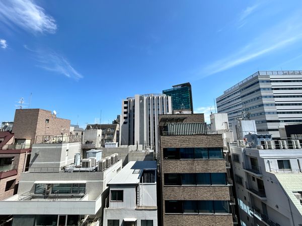 グランリビオ表参道 眺望 グランリビオ表参道 眺望