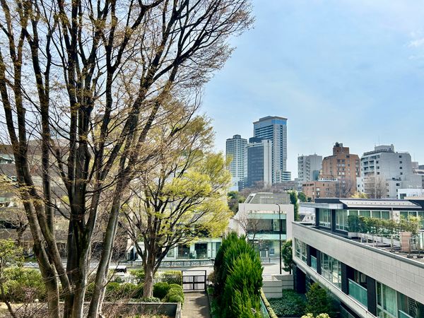 南青ハイツ 眺望 南青ハイツ 眺望