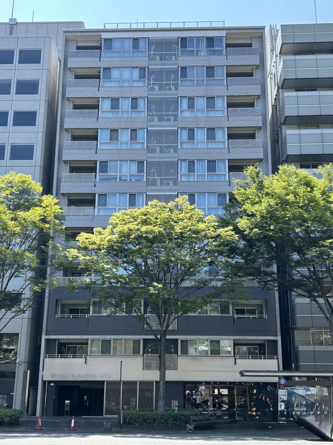 エスリード烏丸御池 外観 エスリード烏丸御池 外観