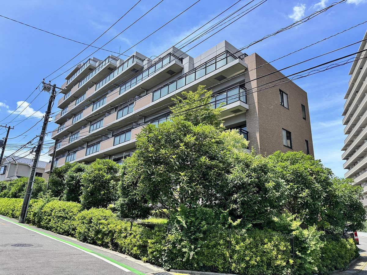 パークハイツ柏 外観 パークハイツ柏 外観