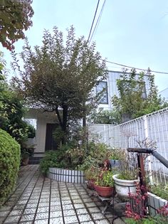 旗の台6丁目貸家 外観 旗の台6丁目貸家 外観