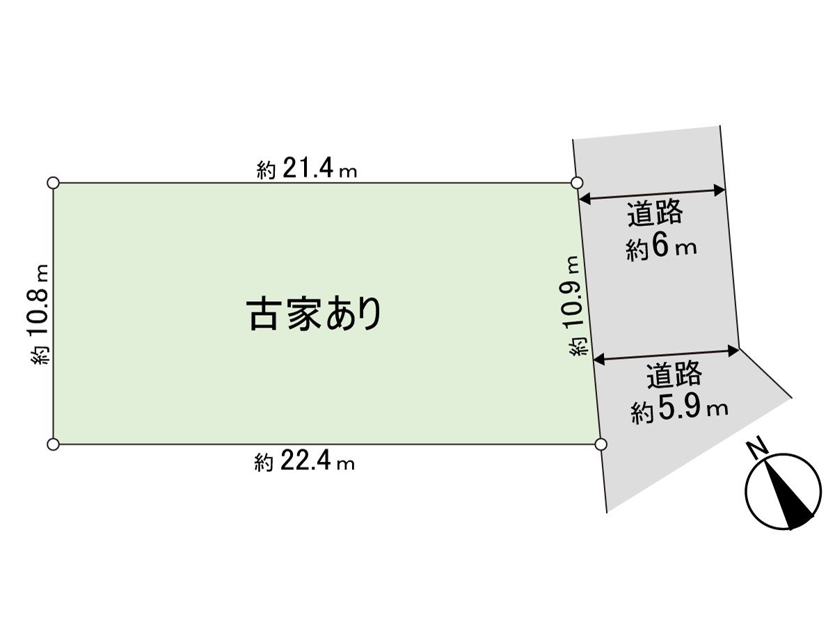 Division figure