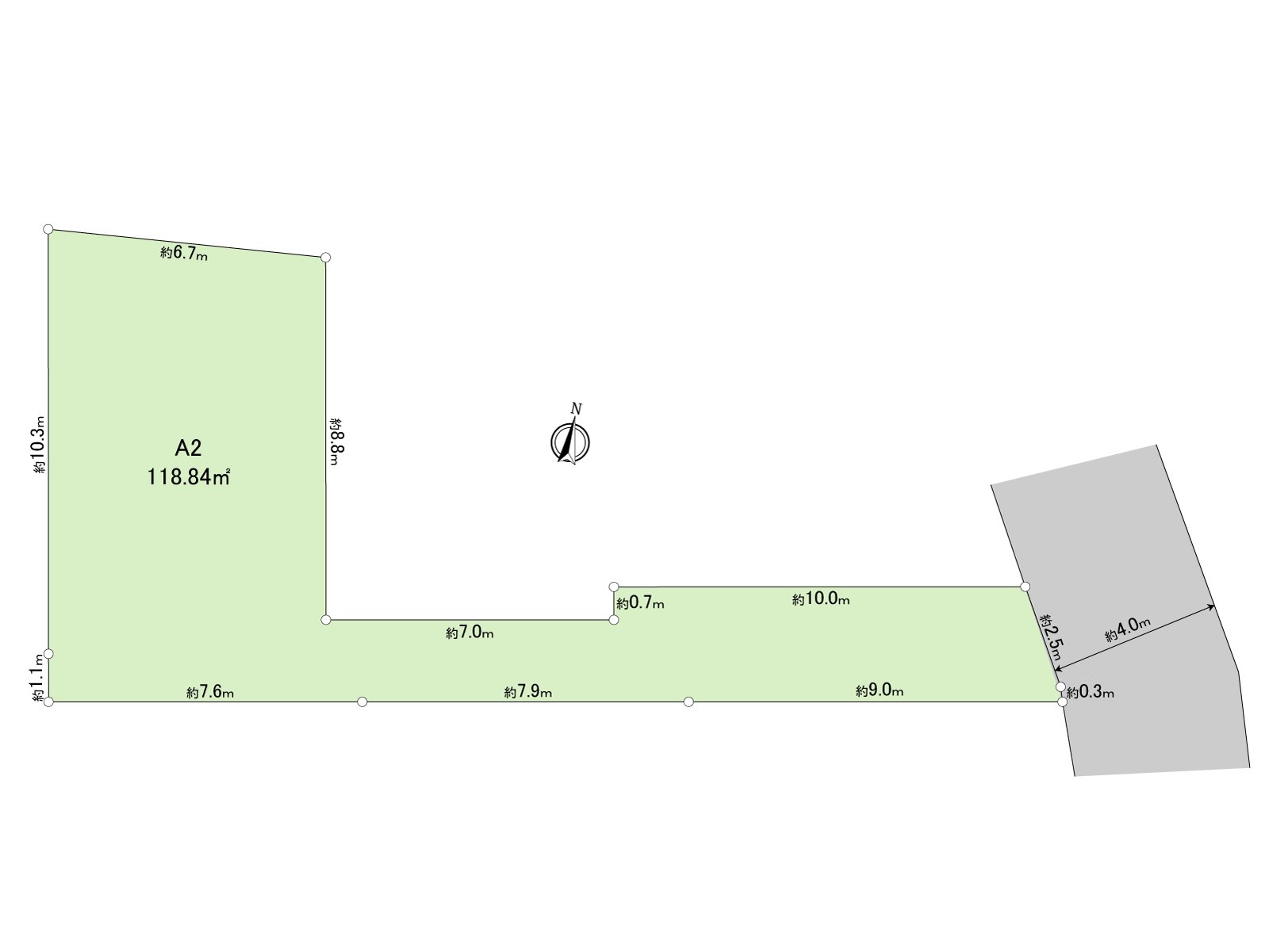 Division figure