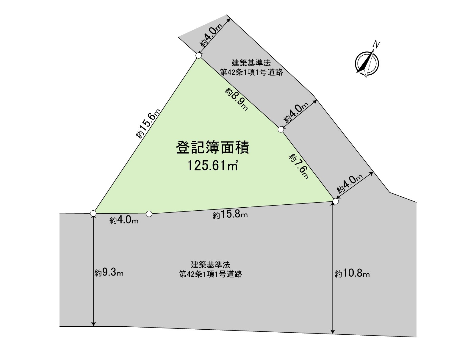 Division figure