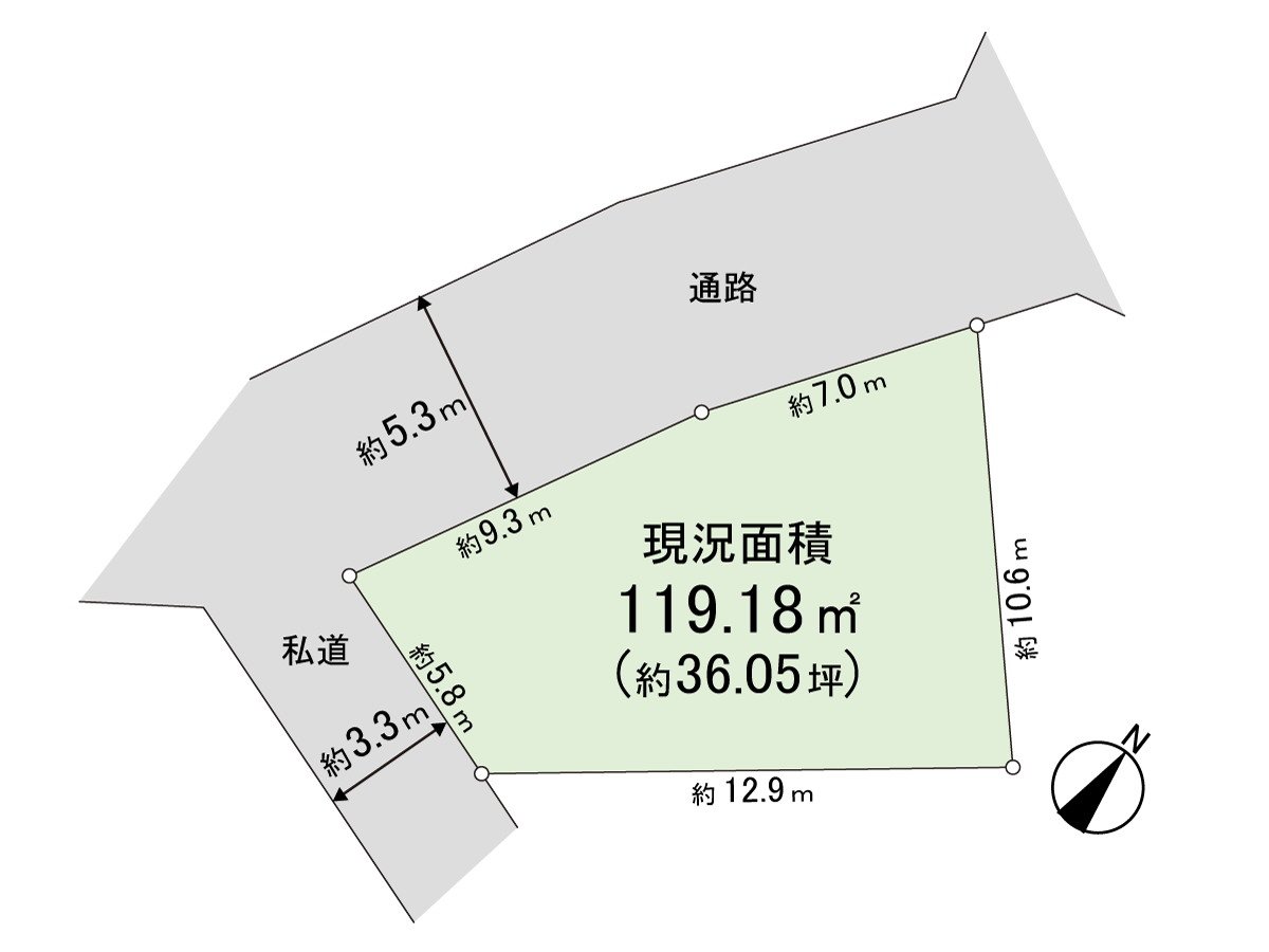 Division figure