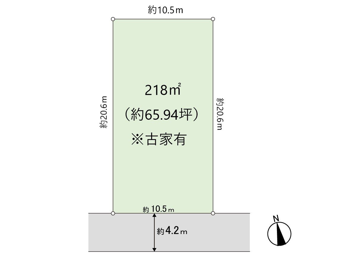 Division figure