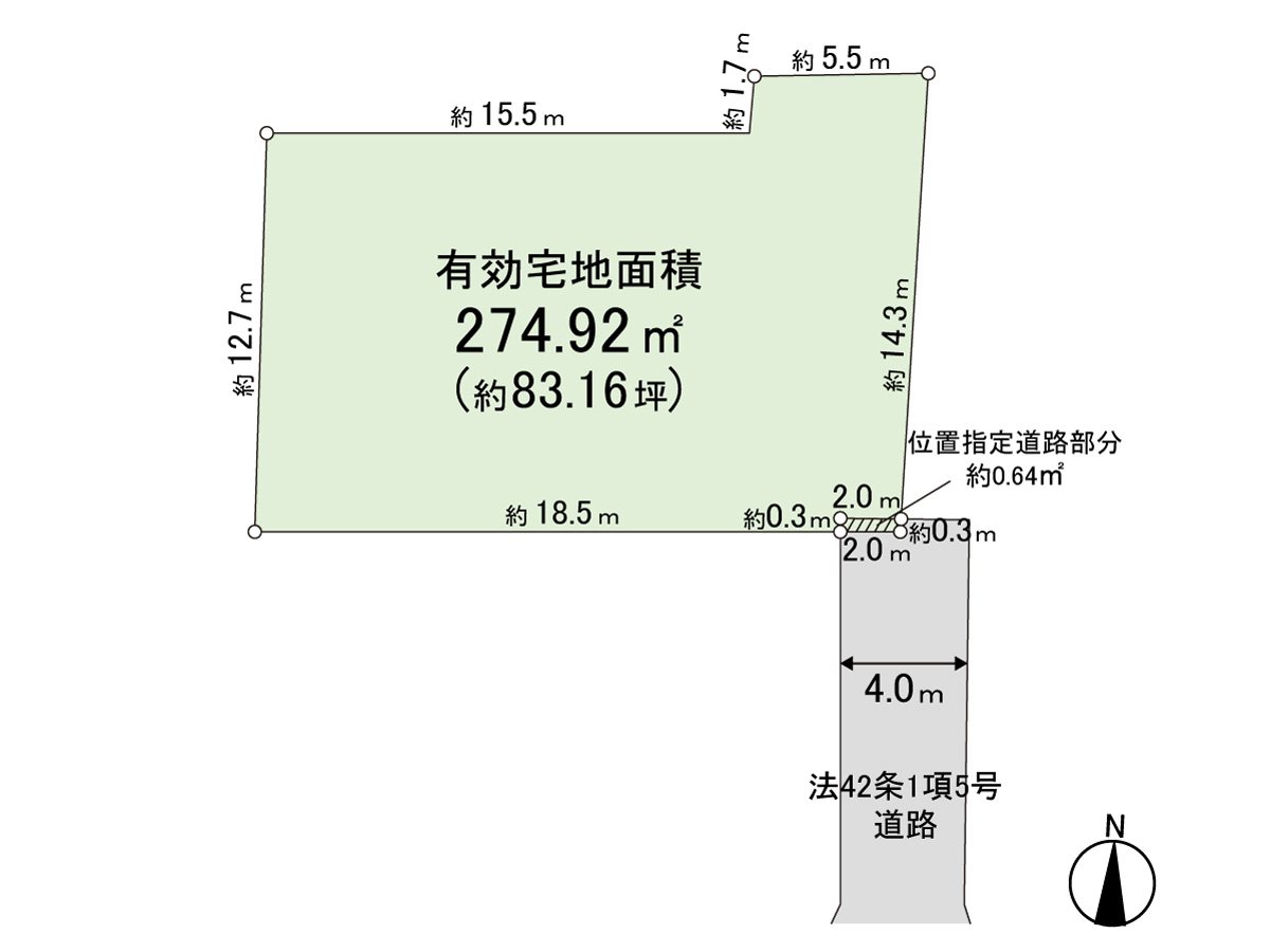 Division figure