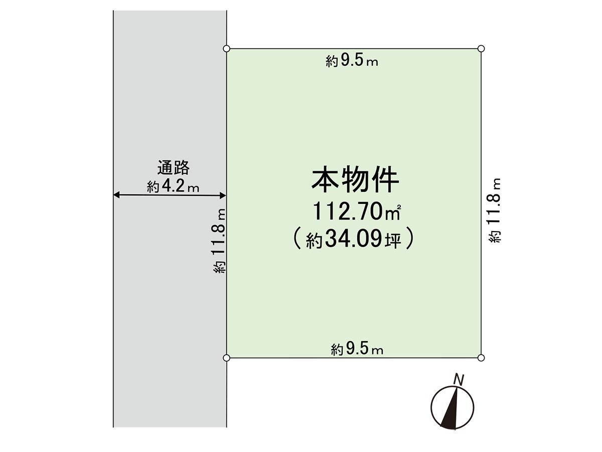 阳光关于南西良好。
