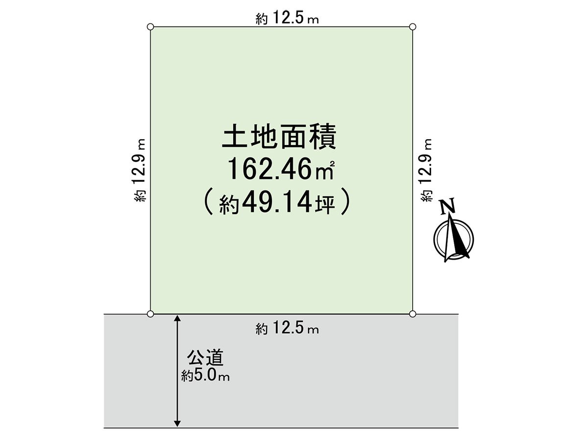 土地面积：162.46平米的整形地