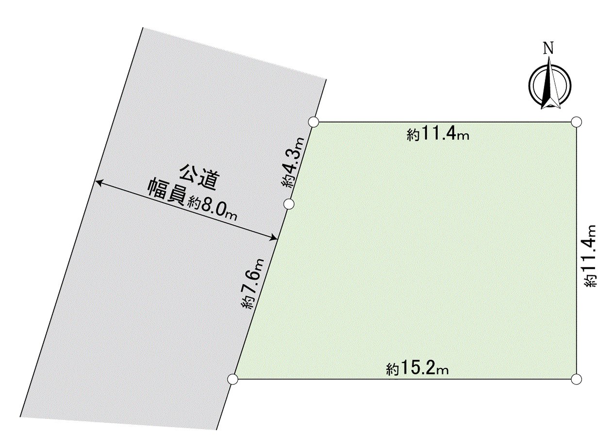 Division figure