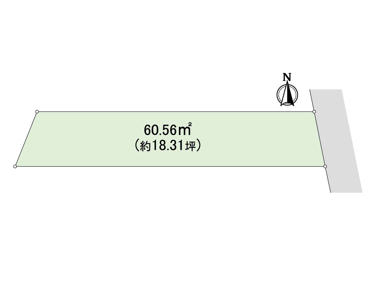 Division figure