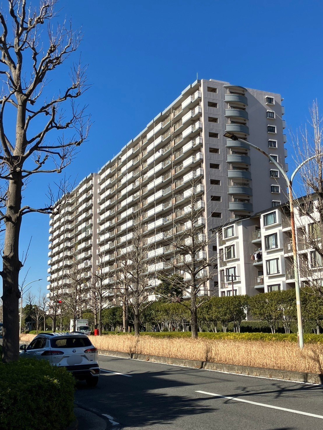 ホビーステーションシングル通販店 / みかづき荘の仲間