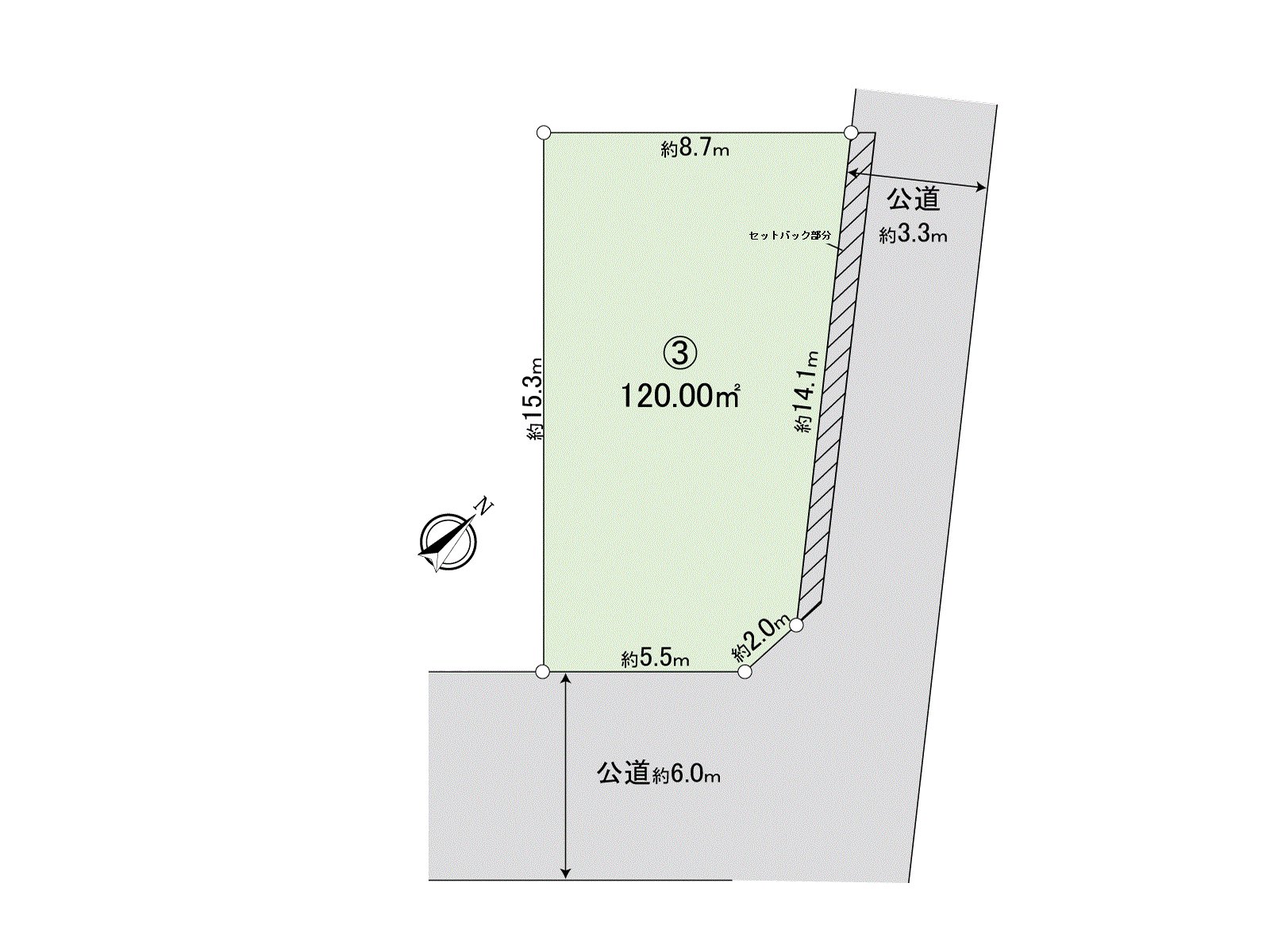Division figure