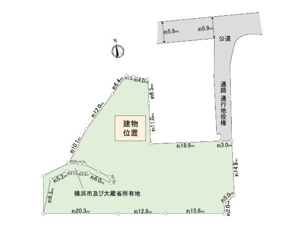 Division figure