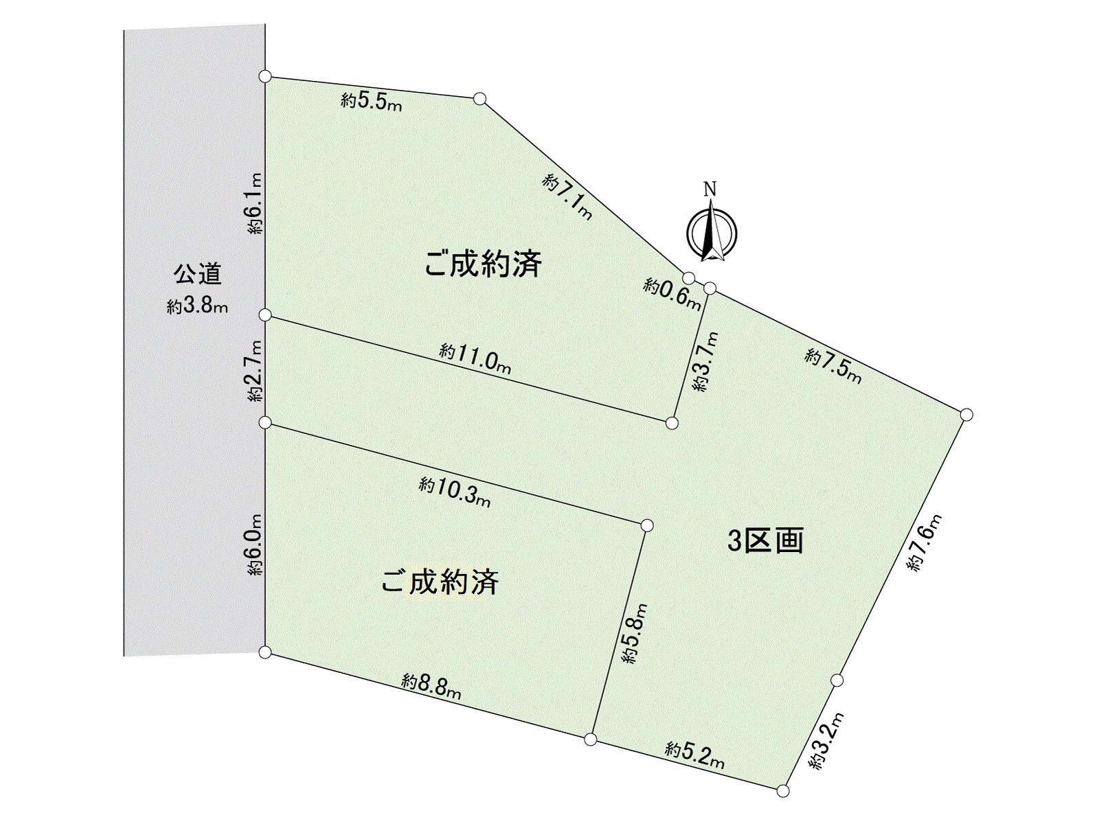 Division figure
