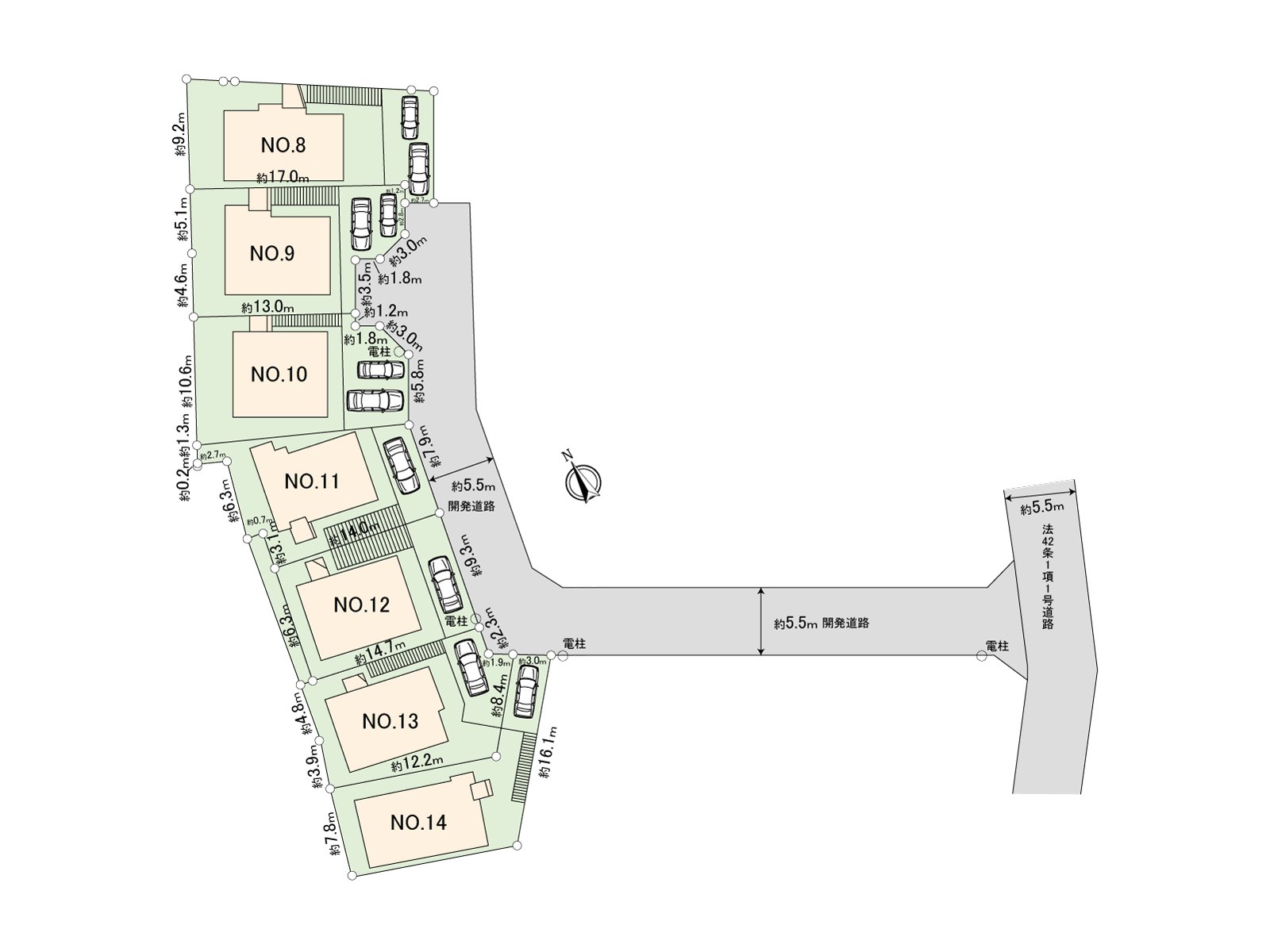 The whole division figure