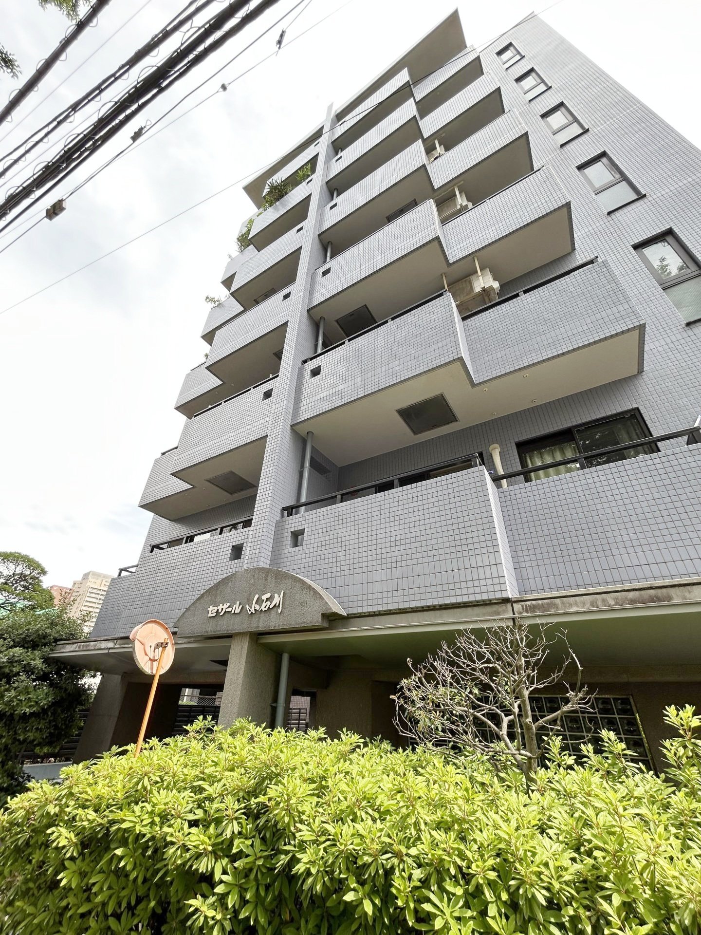 石川　② kotohayokozawa】【CONVERSE】ROADCLASSIC SS OX (WOMEN'S