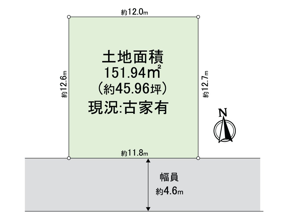 Division figure