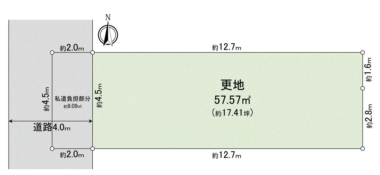 Division figure