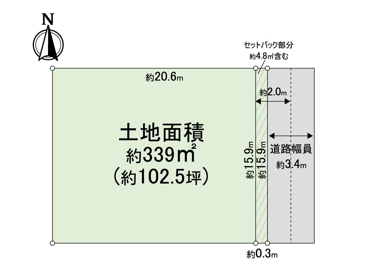 Division figure