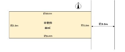 Division figure