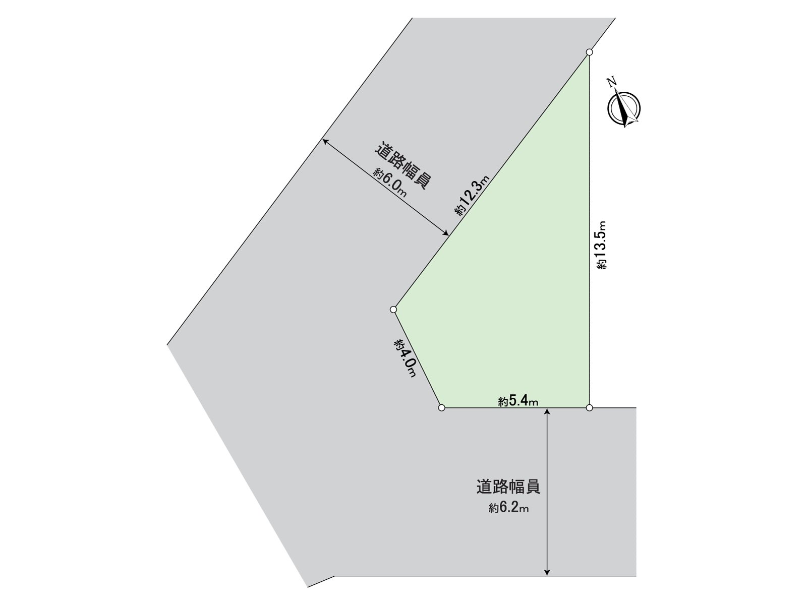 Division figure