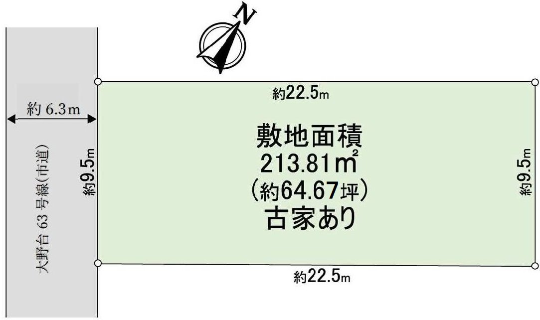 Division figure