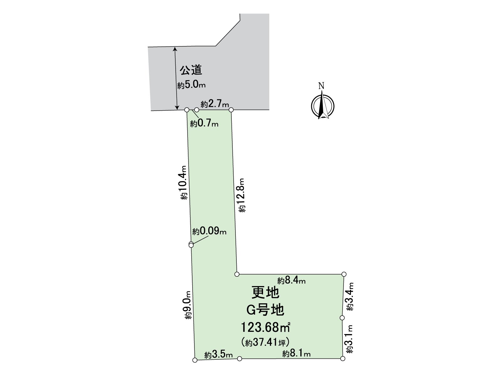 Division figure