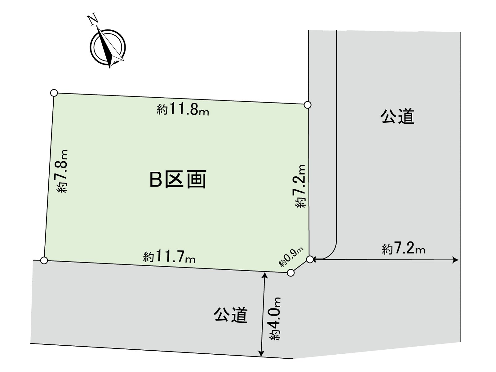 Division figure