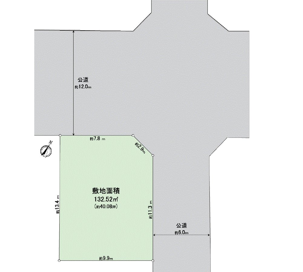 Division figure