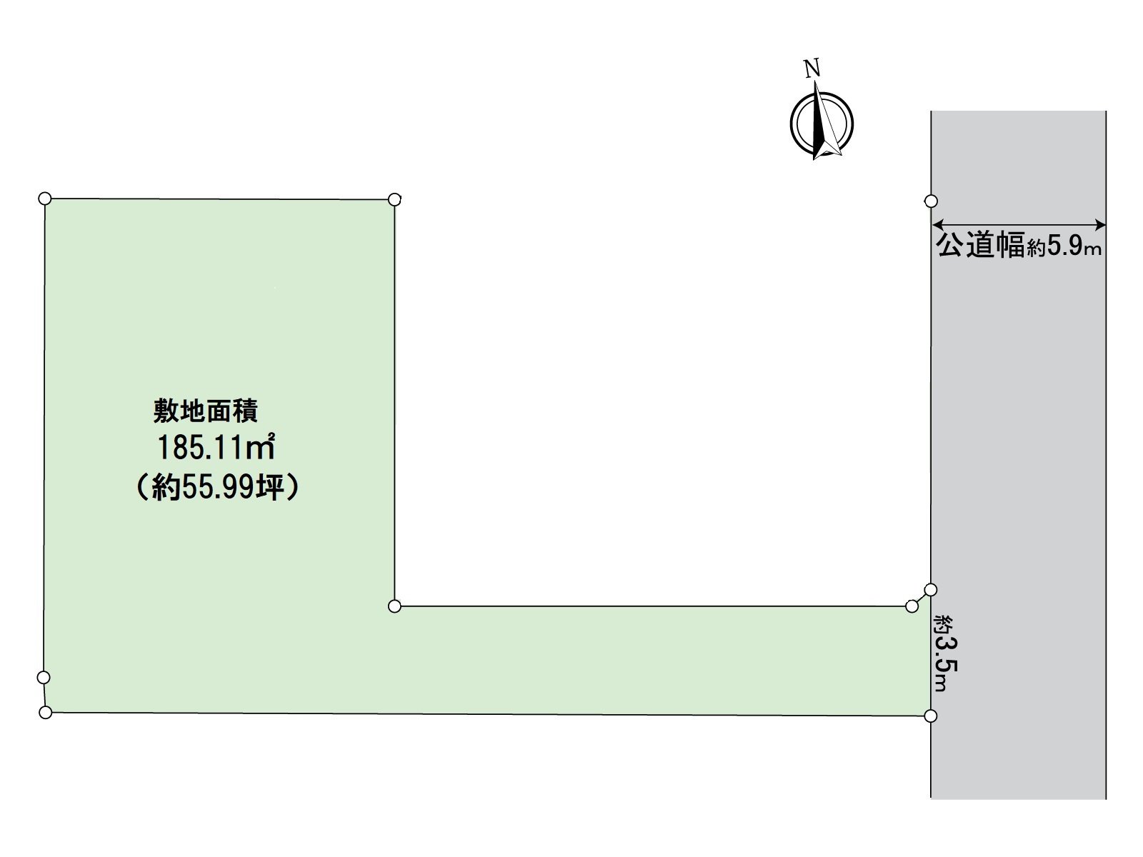 Division figure