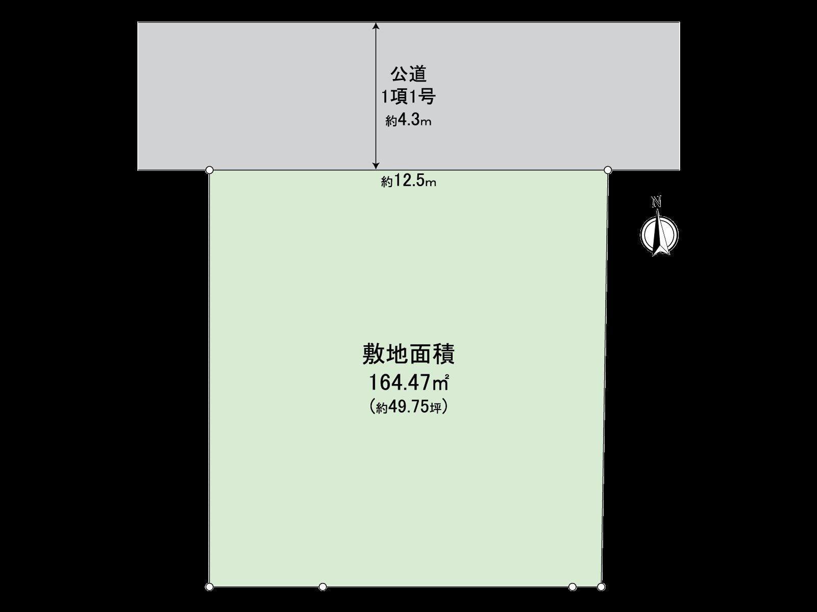 Division figure