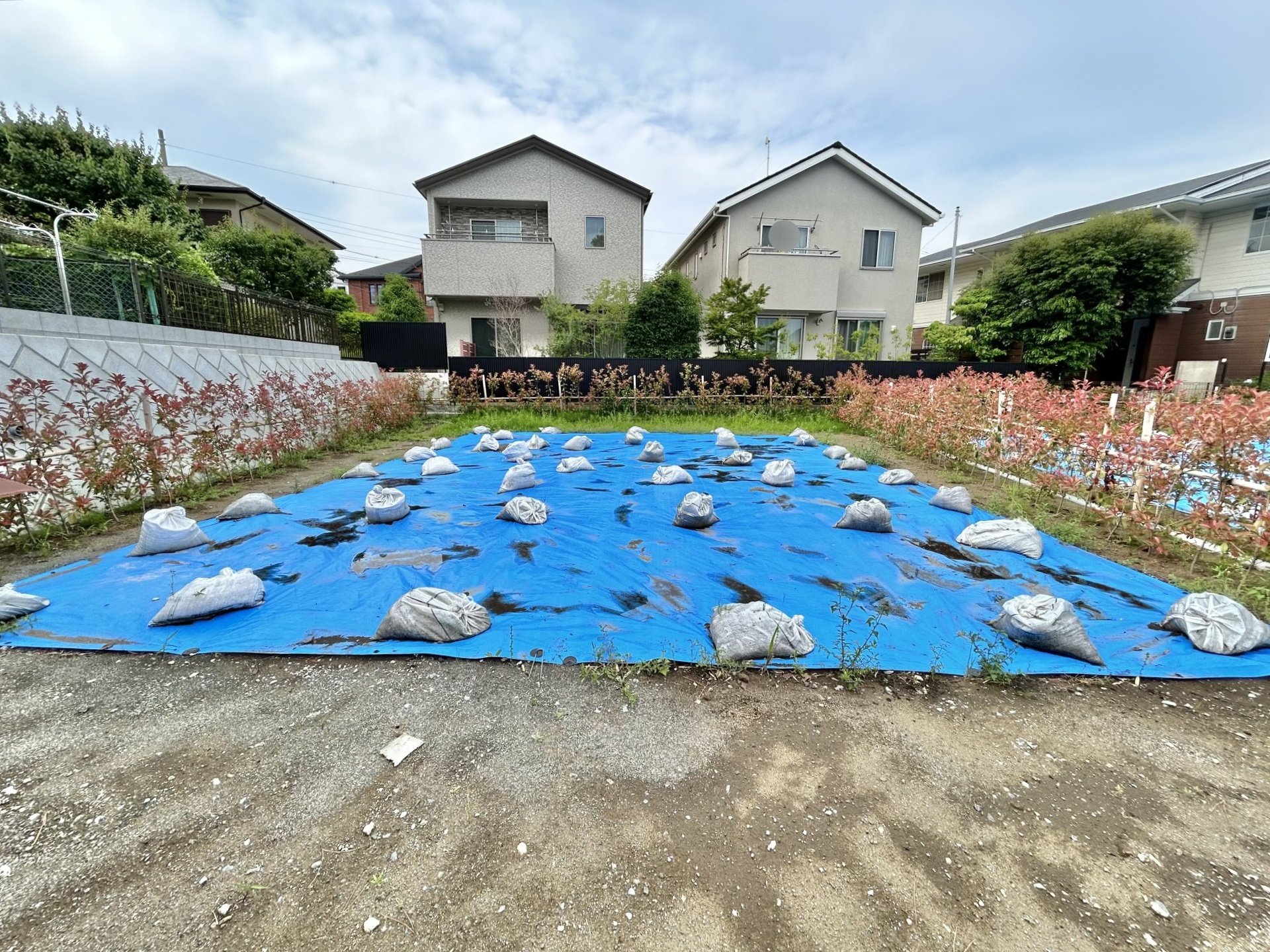 藤沢市鵠沼桜が岡1丁目 土地 C区画の売地情報（F90AGAC3）｜三井