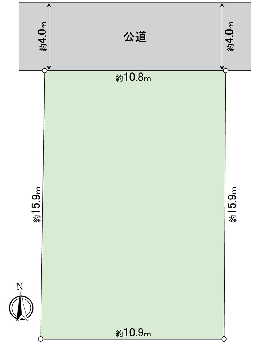Division figure