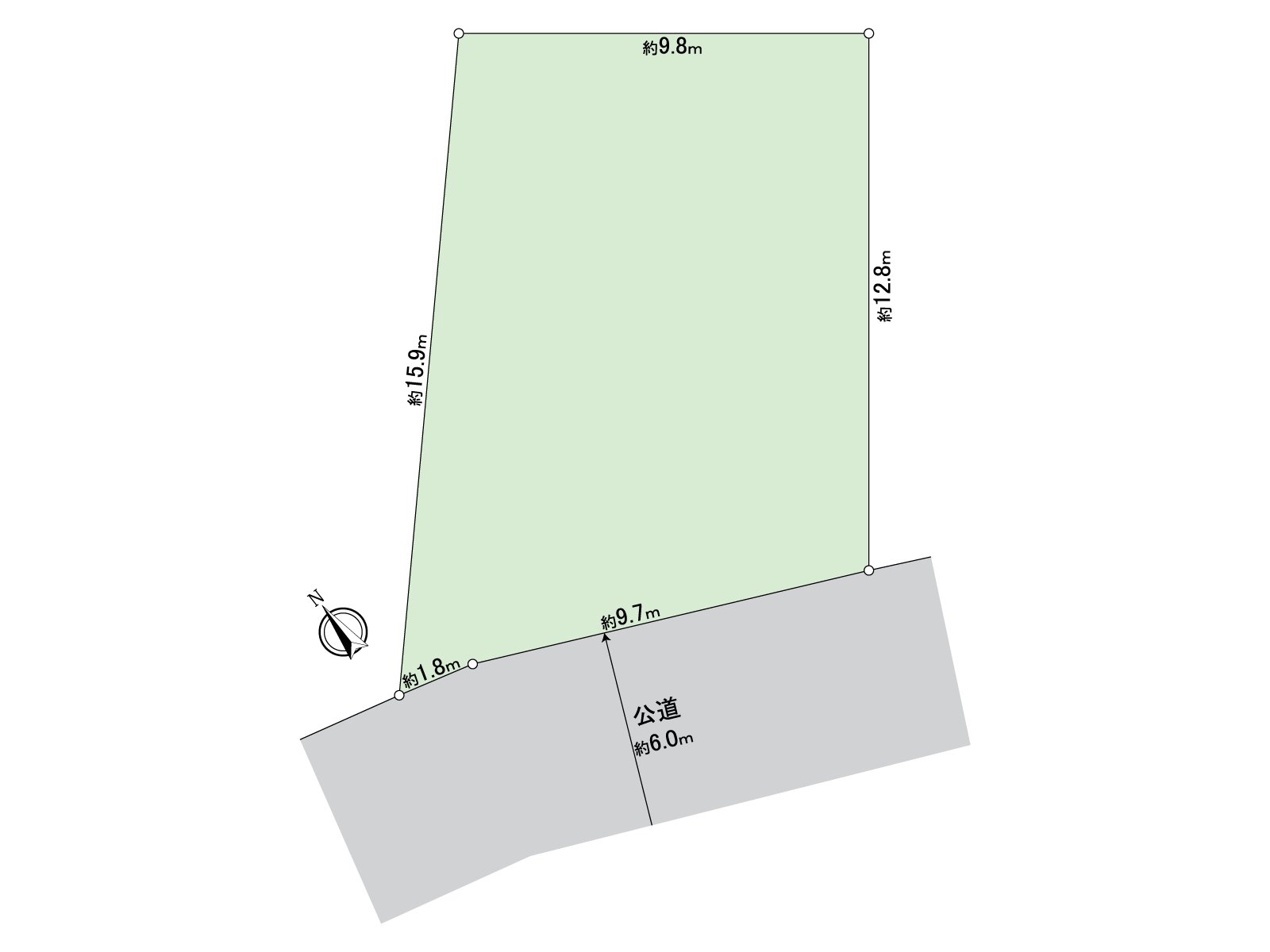 Division figure