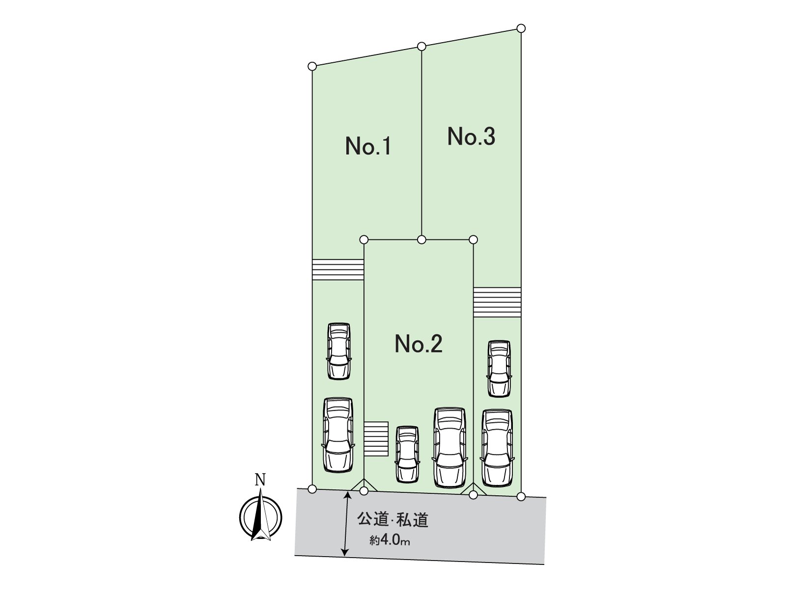 The whole division figure