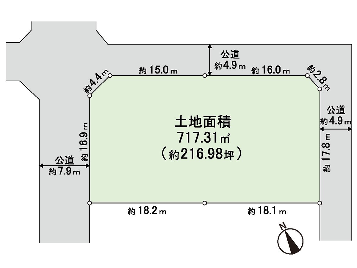 Division figure